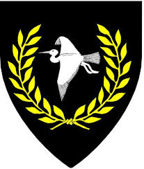 File:Fjordr arms.png