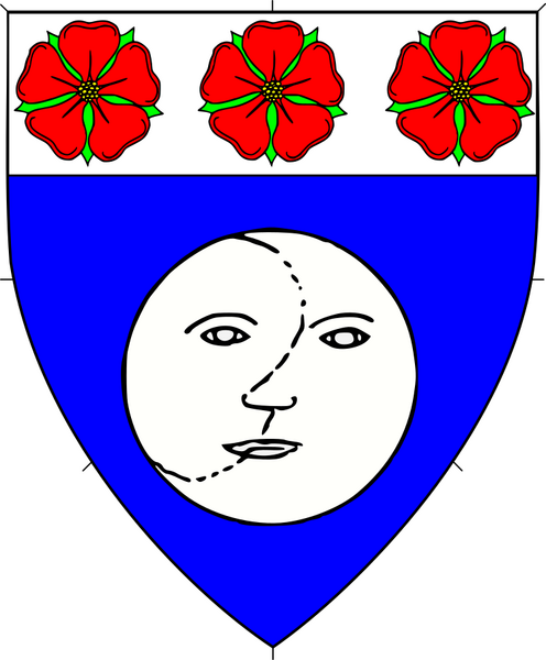 File:Tali Arms.png