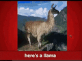Thumbnail for version as of 15:46, 24 October 2025