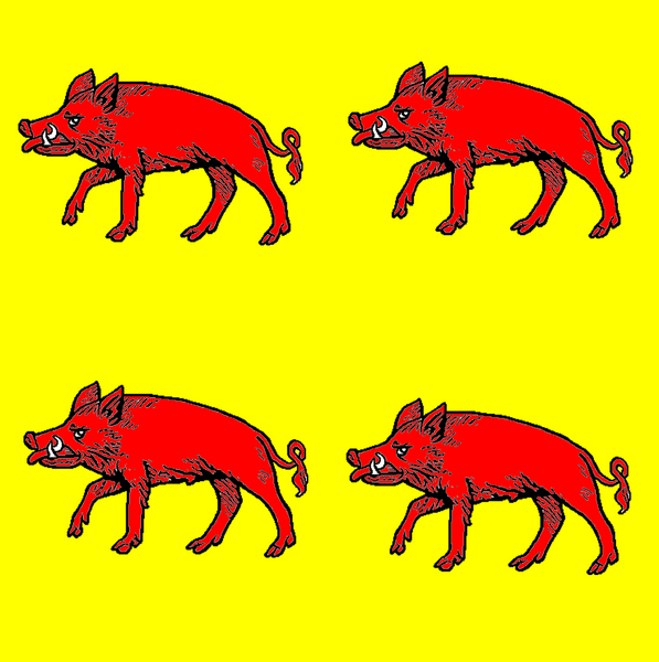 File:RedBoars Badge.png
