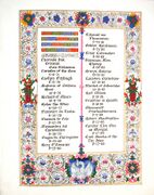 Roll of Pelicans part 1